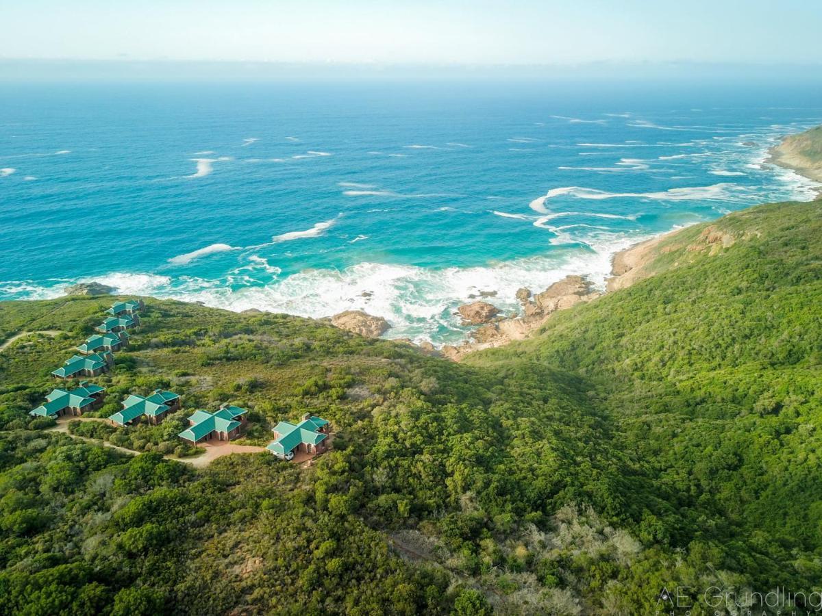 Blue Whale Resort George Exterior foto